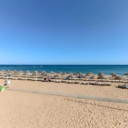 Center 알부페이라